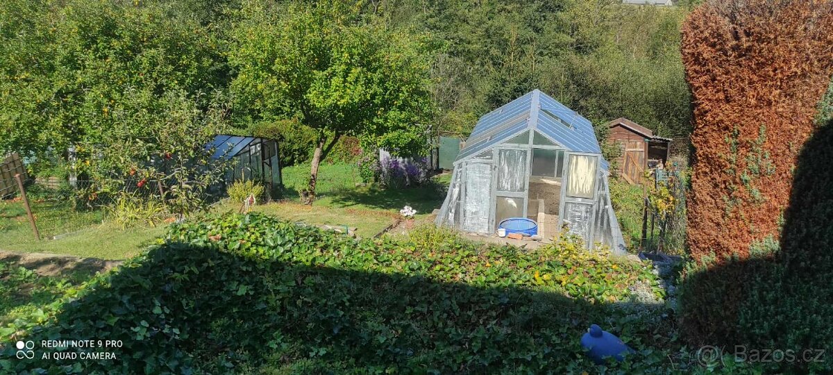 Zahrádka v Bystřici n.P. - 5