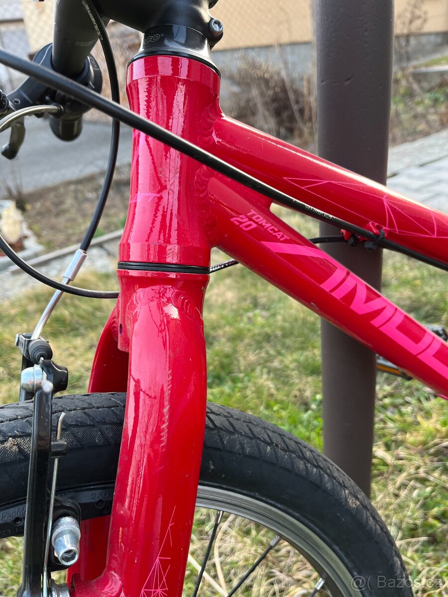 Dětské kolo Amulet Tomcat 20 - 5