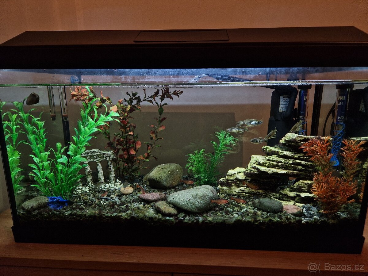 Akvárium s vybavením - 5