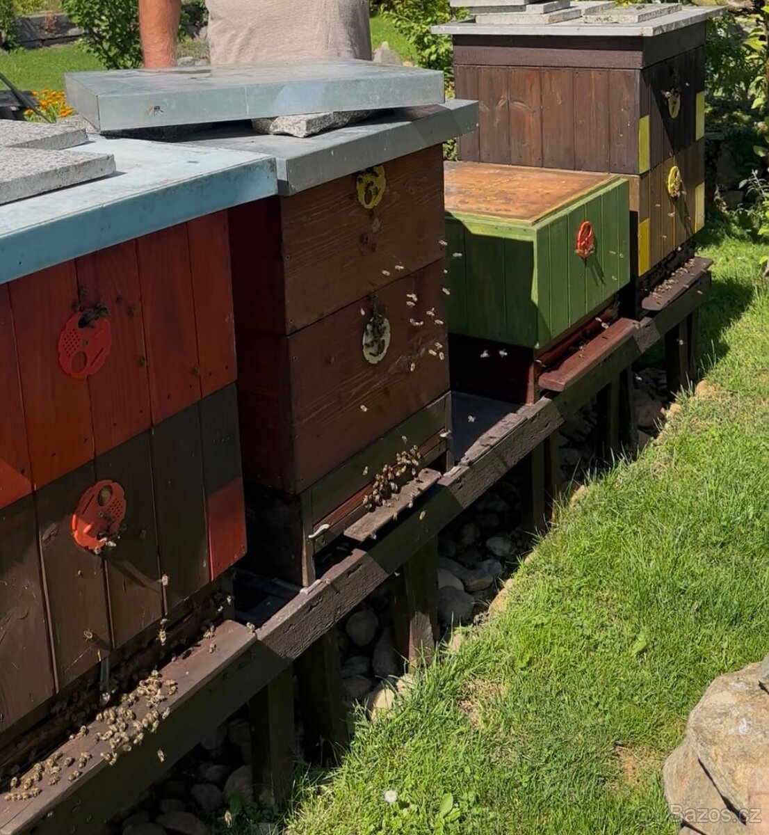 Včelí med přímo od včelaře - 5