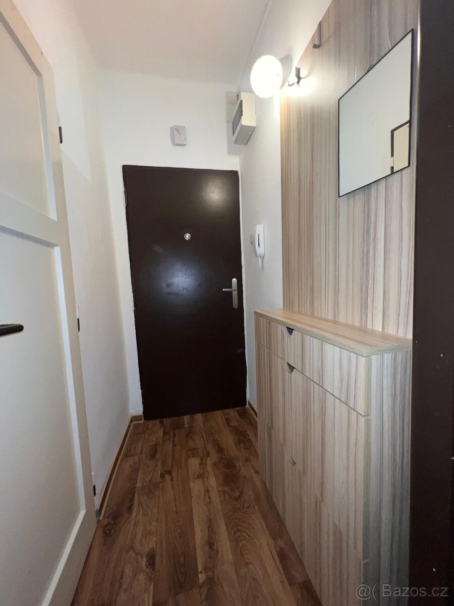 Pronájem, byt 0+1,22 m2, ul. Svazácká, Ostrava -Zábřeh - 5