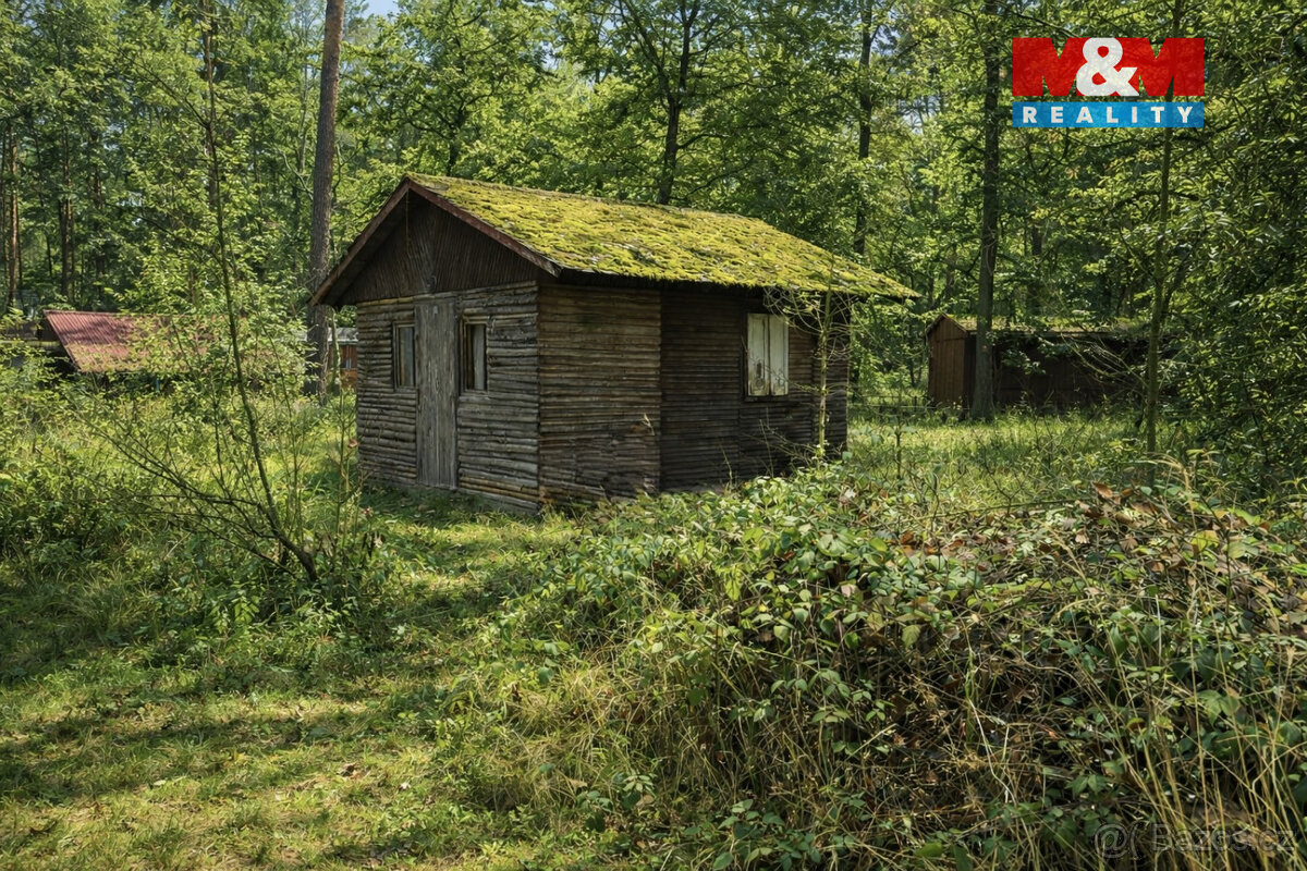 Prodej chaty 18m2, Jívový rybník, osada Jivák, Loučeň - 5