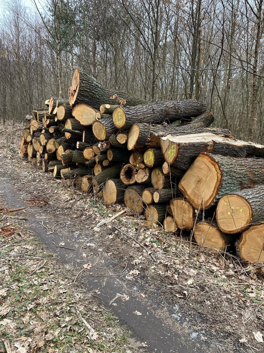 Palivové dřevo - 5