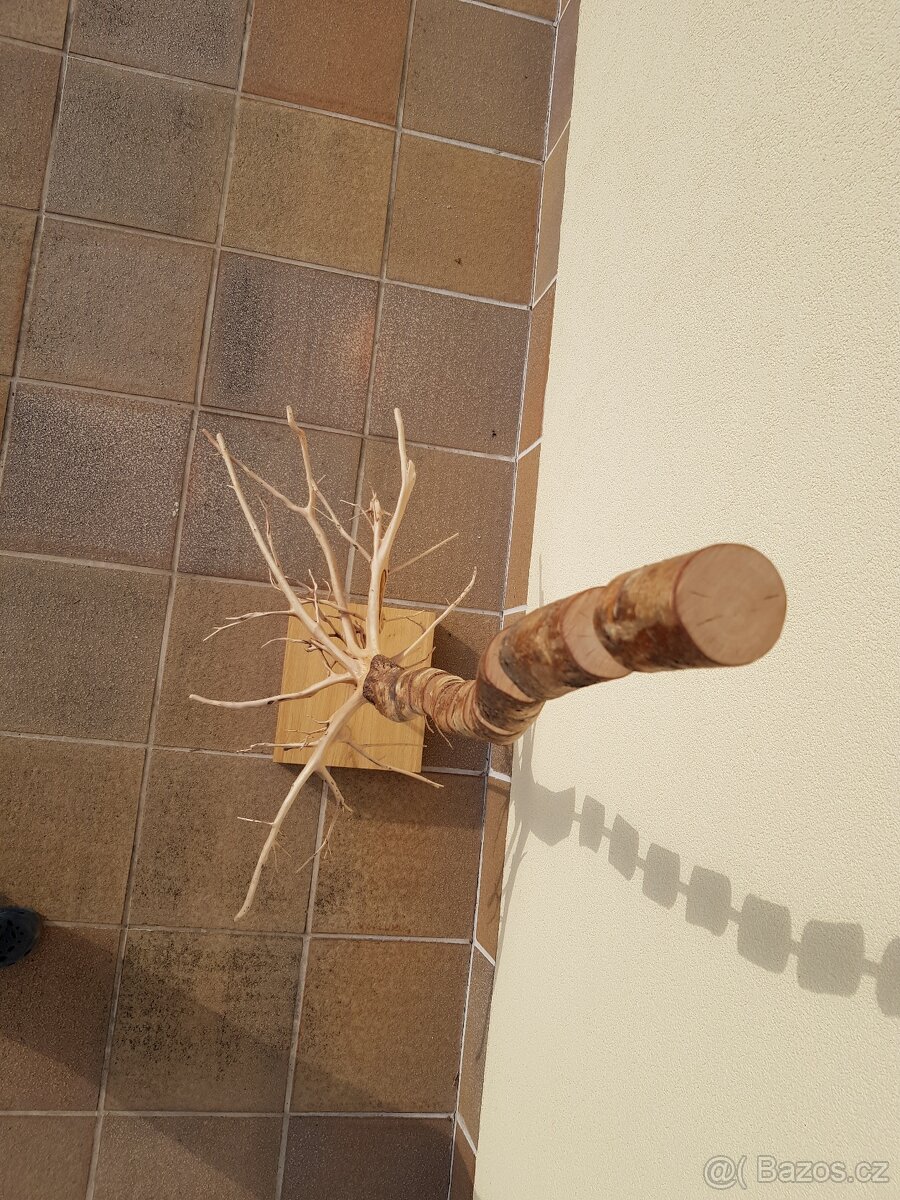 Dřevěná socha - páteř stromu - 5