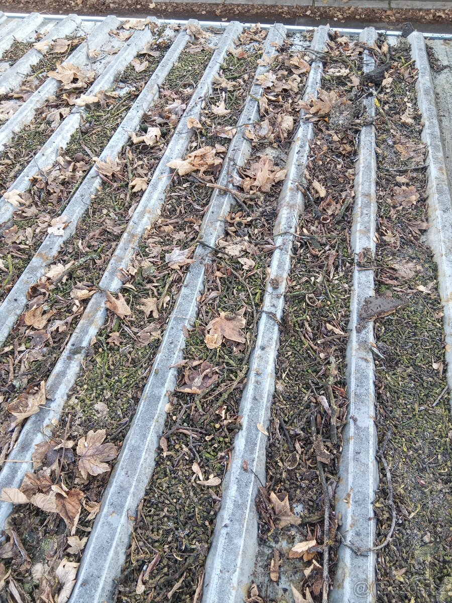 Údržba zeleně a střech - 5