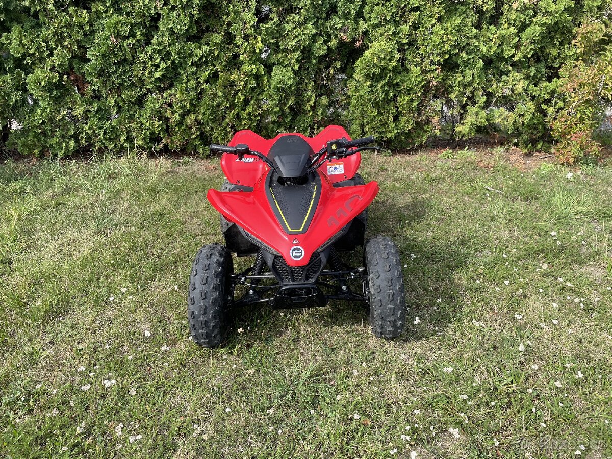 Cfmoto 110