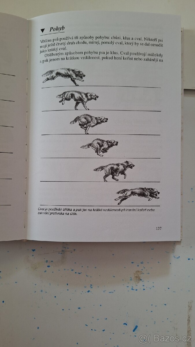 Řeč psů encyklopedie psího chování, jen za poštovné 50 Kč - 5