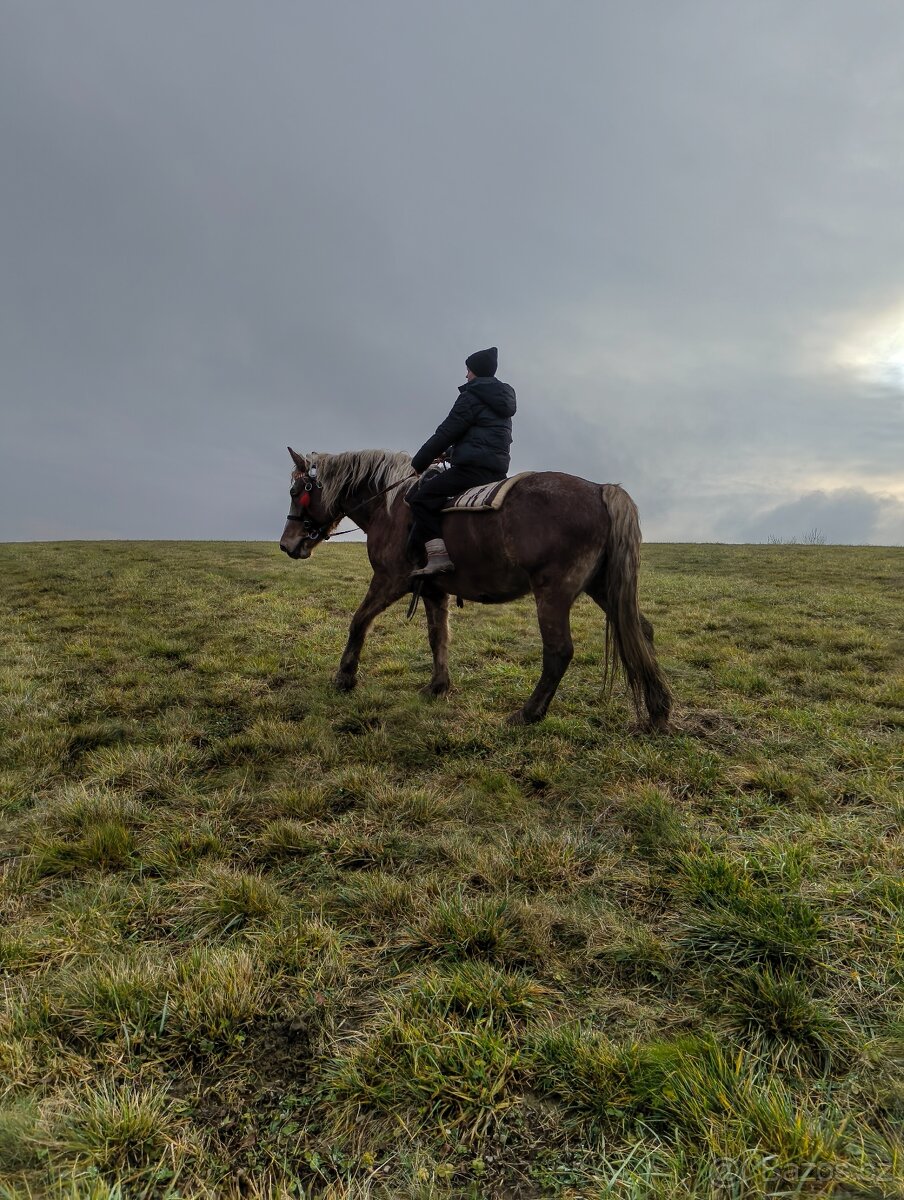 Nabízím klisnu hodnou ČMB - 5