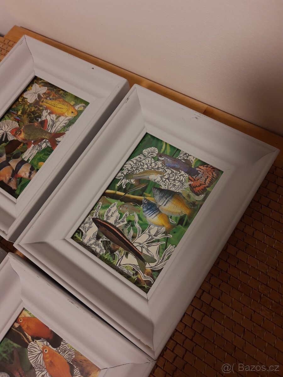 Rámečky/obrázky - 5