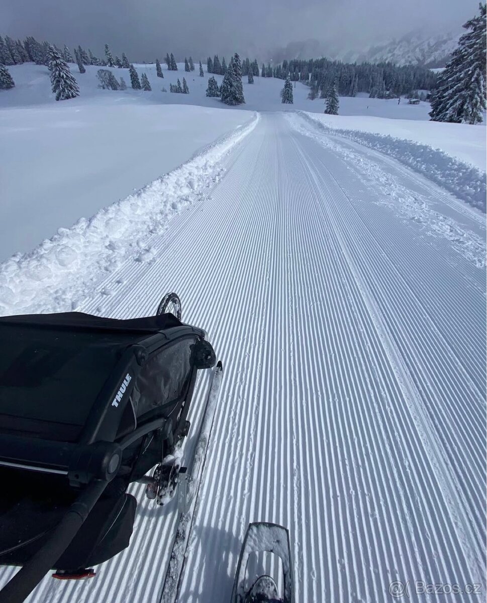 Thule Chariot Sport - 5