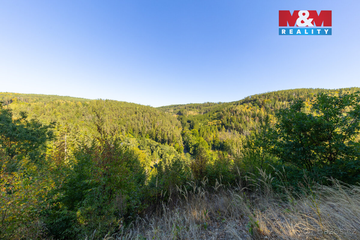 Prodej lesa, 7450 m², Lomnice - 5