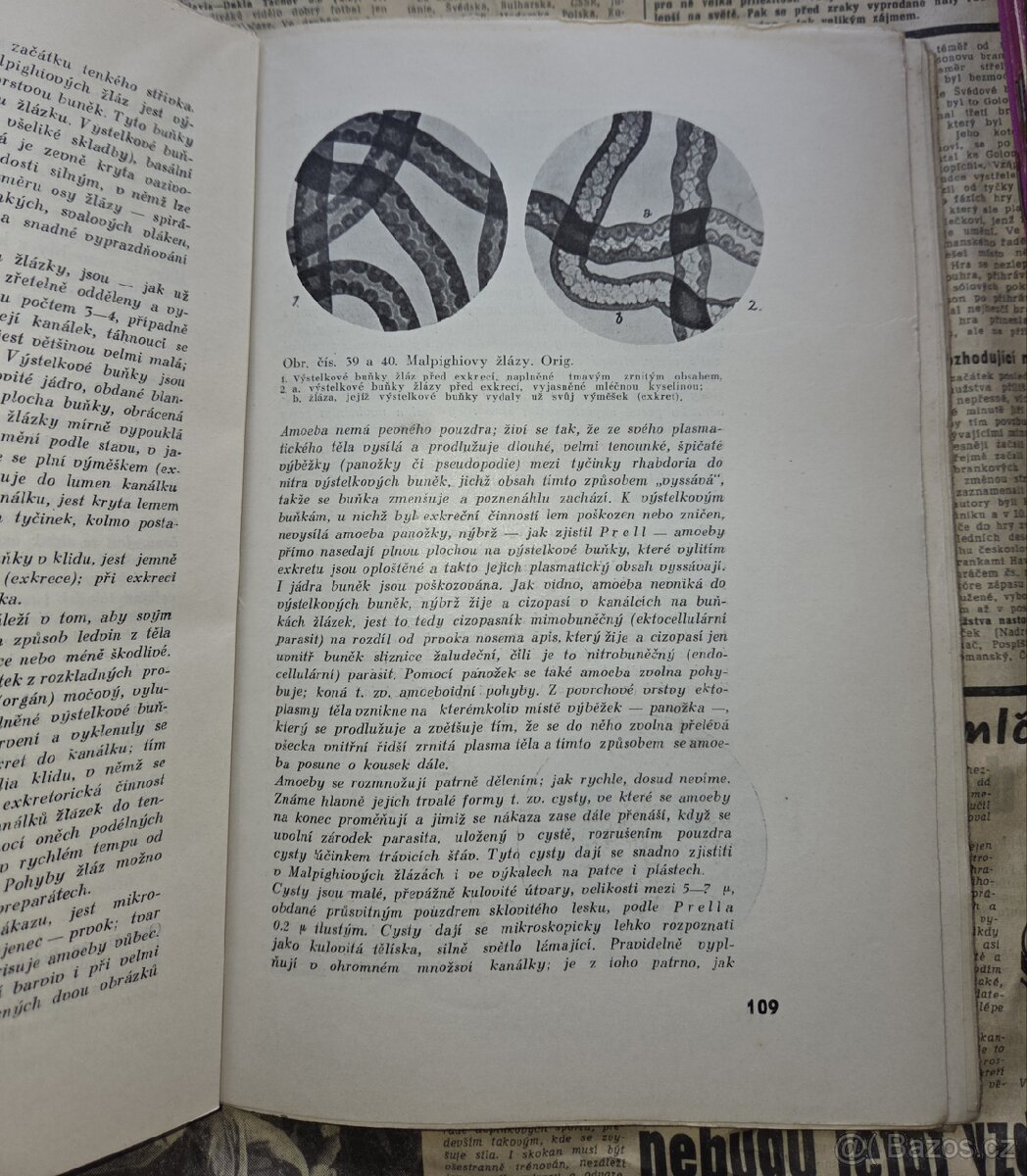 Knihy / časopisy - včely / včelařství / Včelař - 5