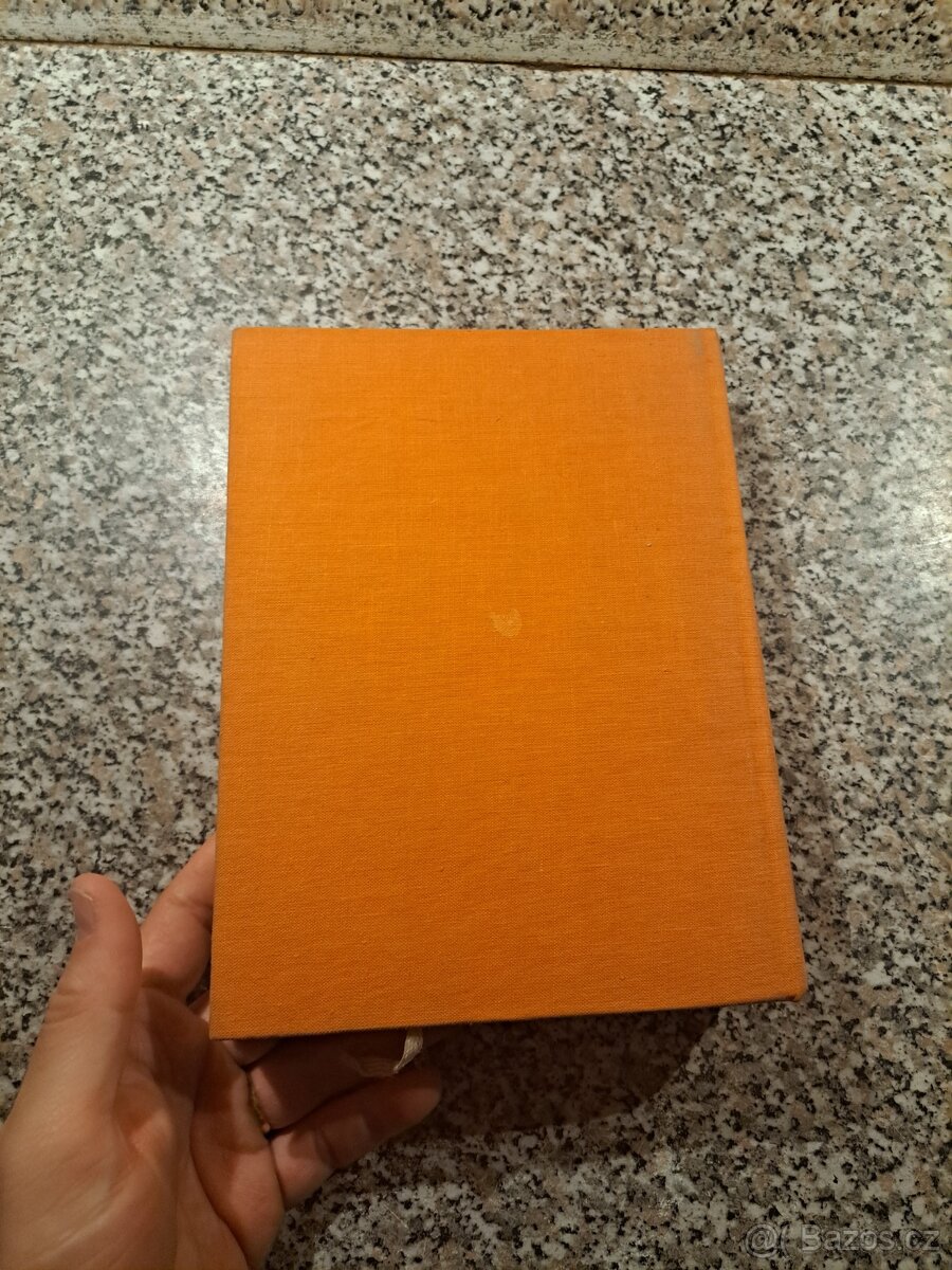 Bez domova - Hector Malot - 5