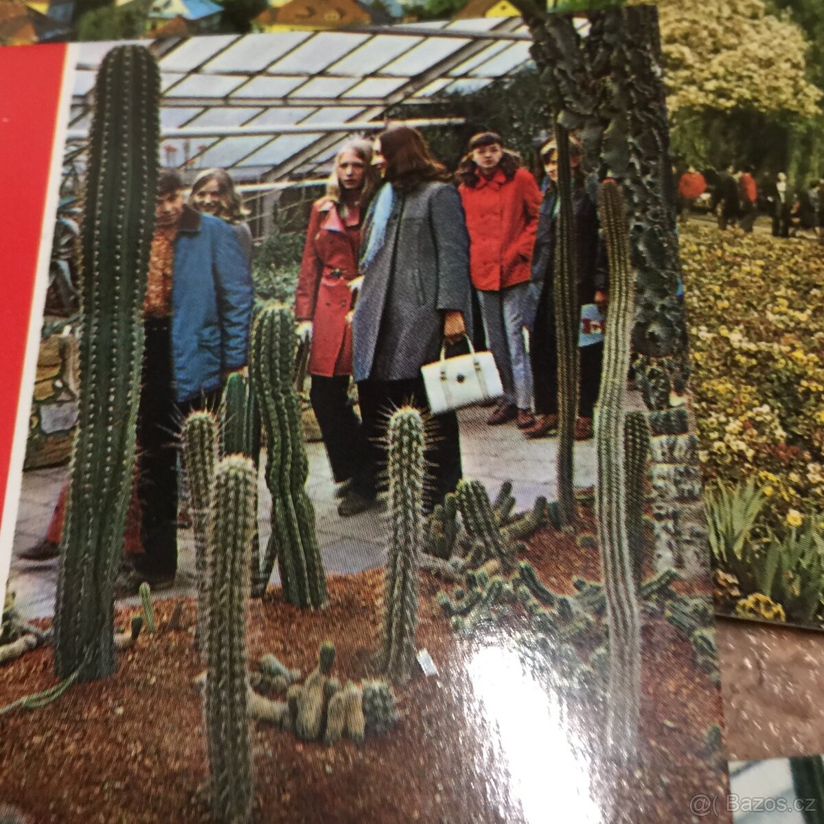 staré pohledy Olomouc výstava Flora - 5