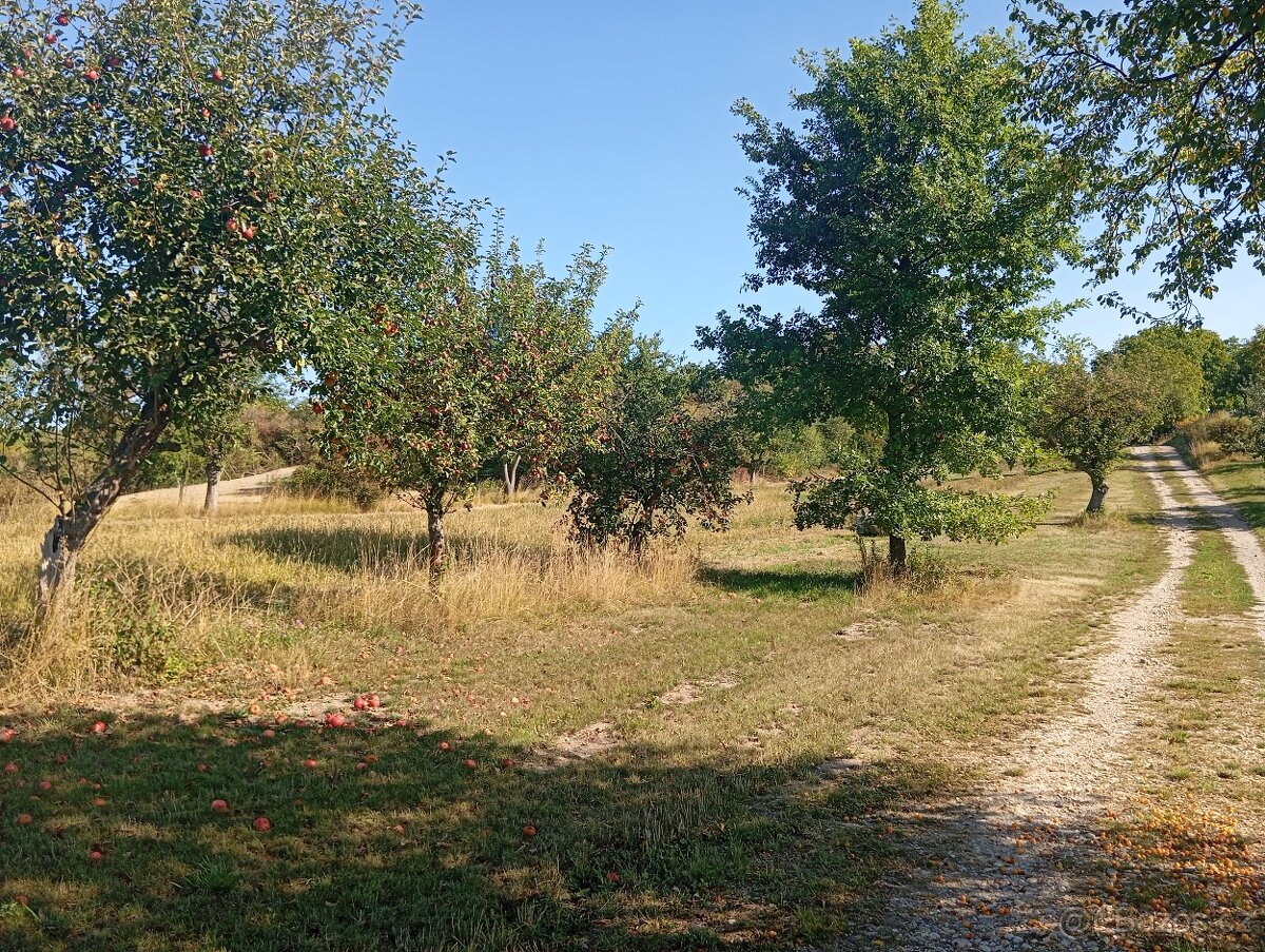 Prodám zahradu u obce Převýšov - 5