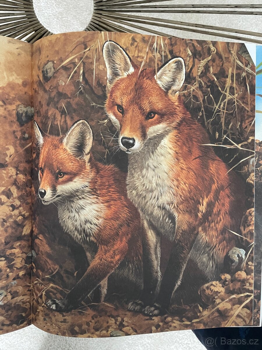 Moje velká kniha Zvířata v přírodě - 5