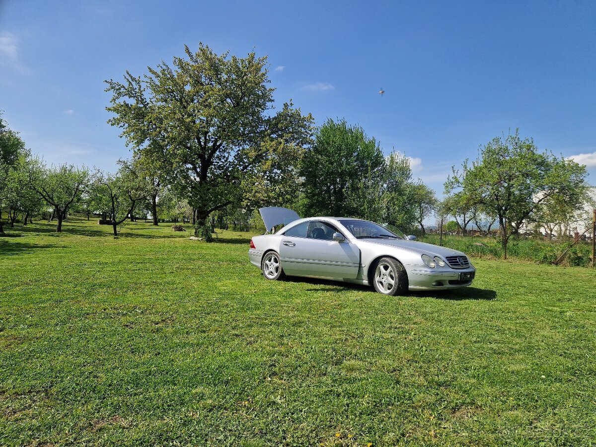 Mercedes Benz CL600 V12 W215 - 5