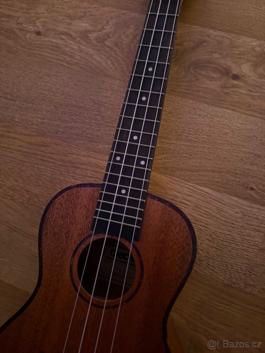 Ukulele - 5