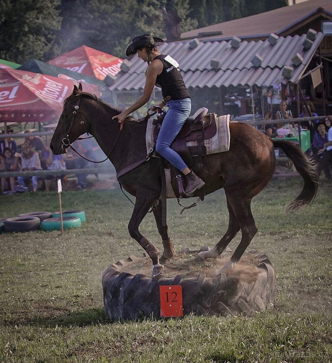 Klisna A1/1 9let - 5