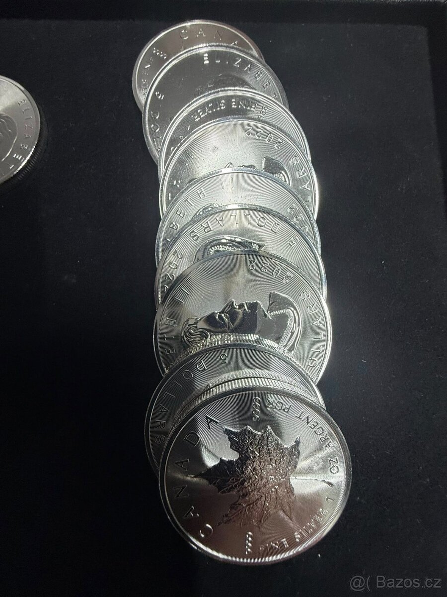Stříbrná investiční mince Maple Leaf 1 oz - 5