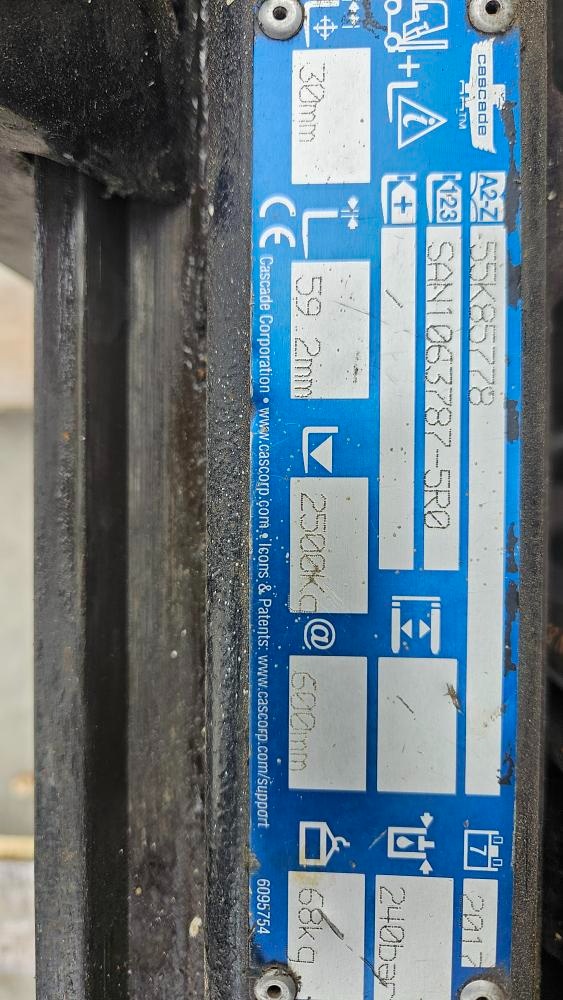 VZV Jungheinrich TFG 320s - 5