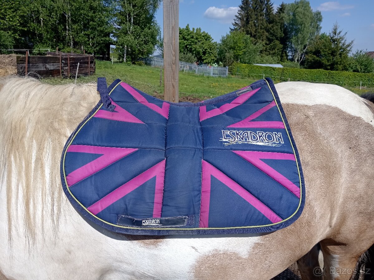 Dečky eskadron vs - 5