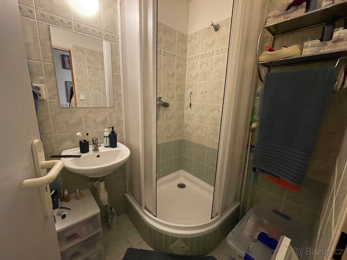 Pronájem bytu 1+kk centrum Olomouc - 5