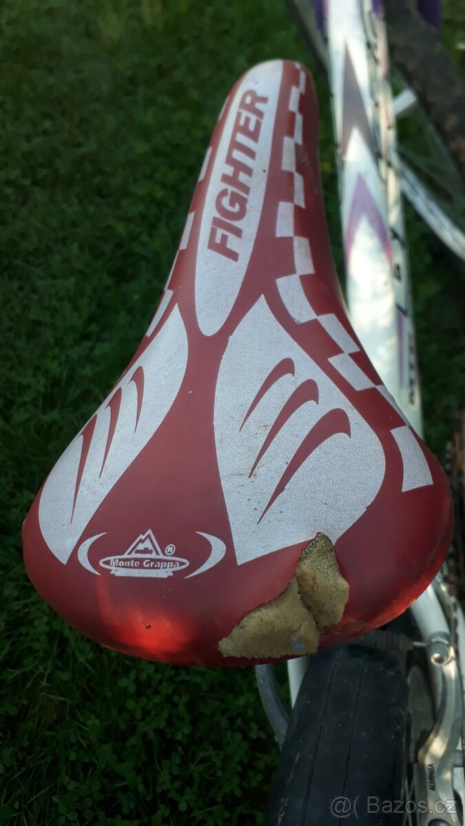 Daruji Dívčí/dětské kolo vel.24 (9-12 let) ZDARMA - 5