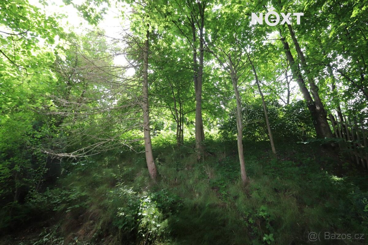 Prodej Chalupa, 65㎡ - 5