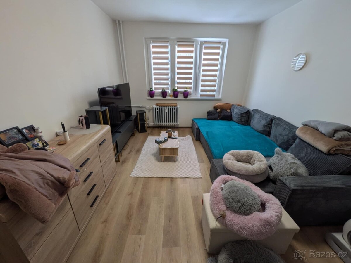 Prodej bytu 2+1 DV, ul. Vrchlického, Chomutov - 5