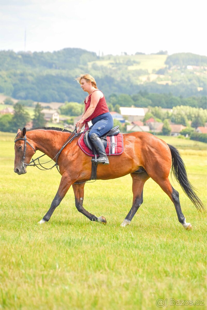 Pronájem Valáška - 5