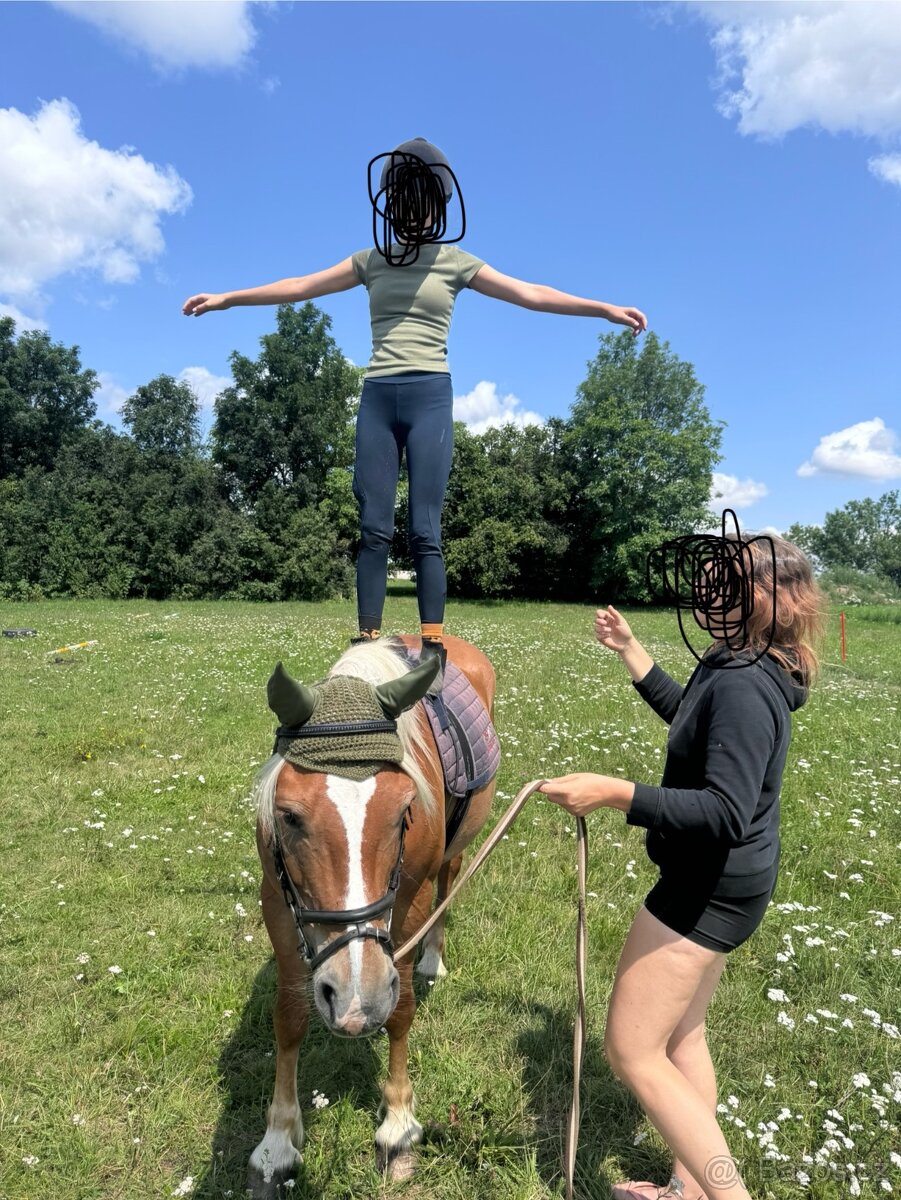 Prodám kobylu Haflinga - 5