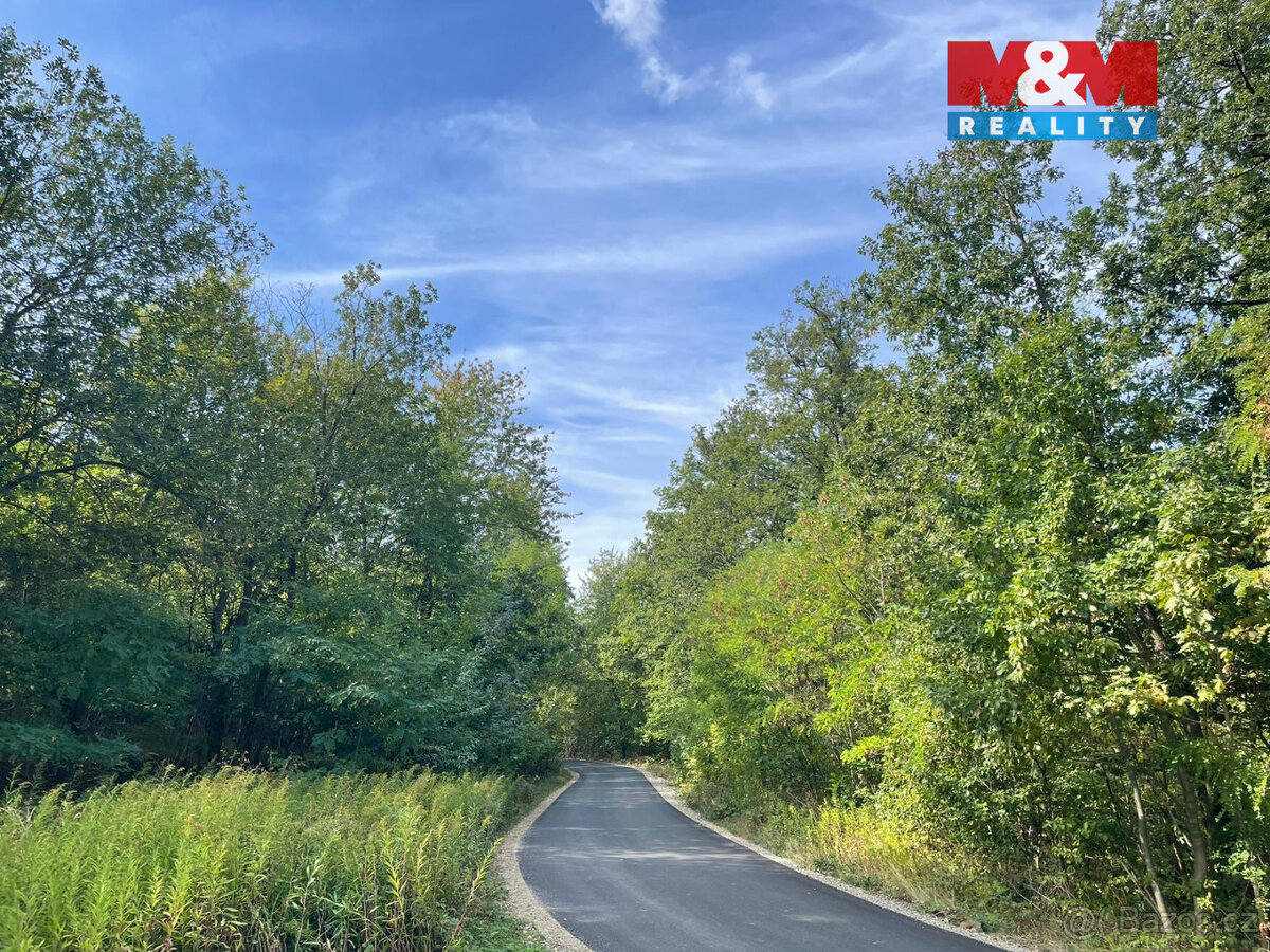 Prodej lesa, 845297 m², Kněždub - 5