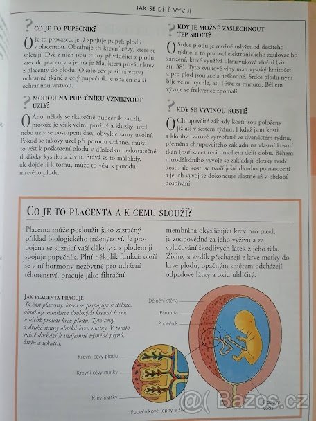 Těhotenství v otázkách a odpovědích - 5