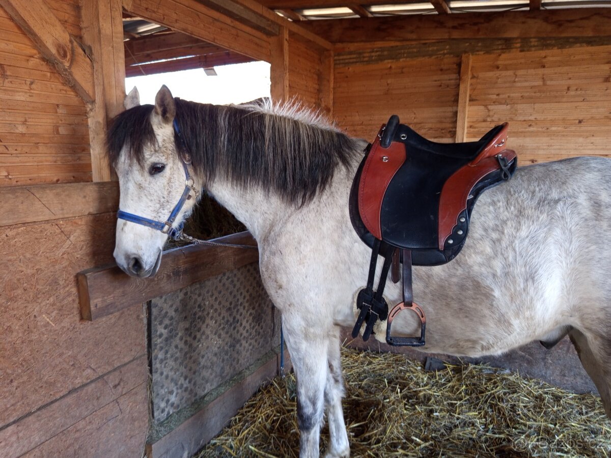 Sedlo Deuber El Campo, španělské - 5