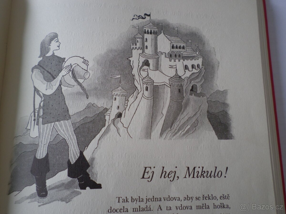 Záhon rozmarynky - 5