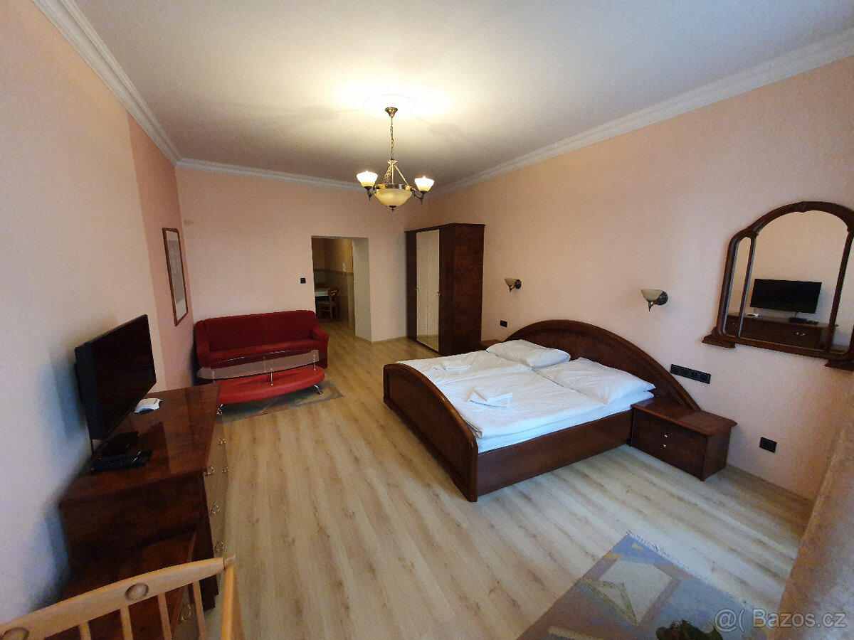 apartmanove byty centrum Karlovy Vary -Хозяин говорит русски - 5