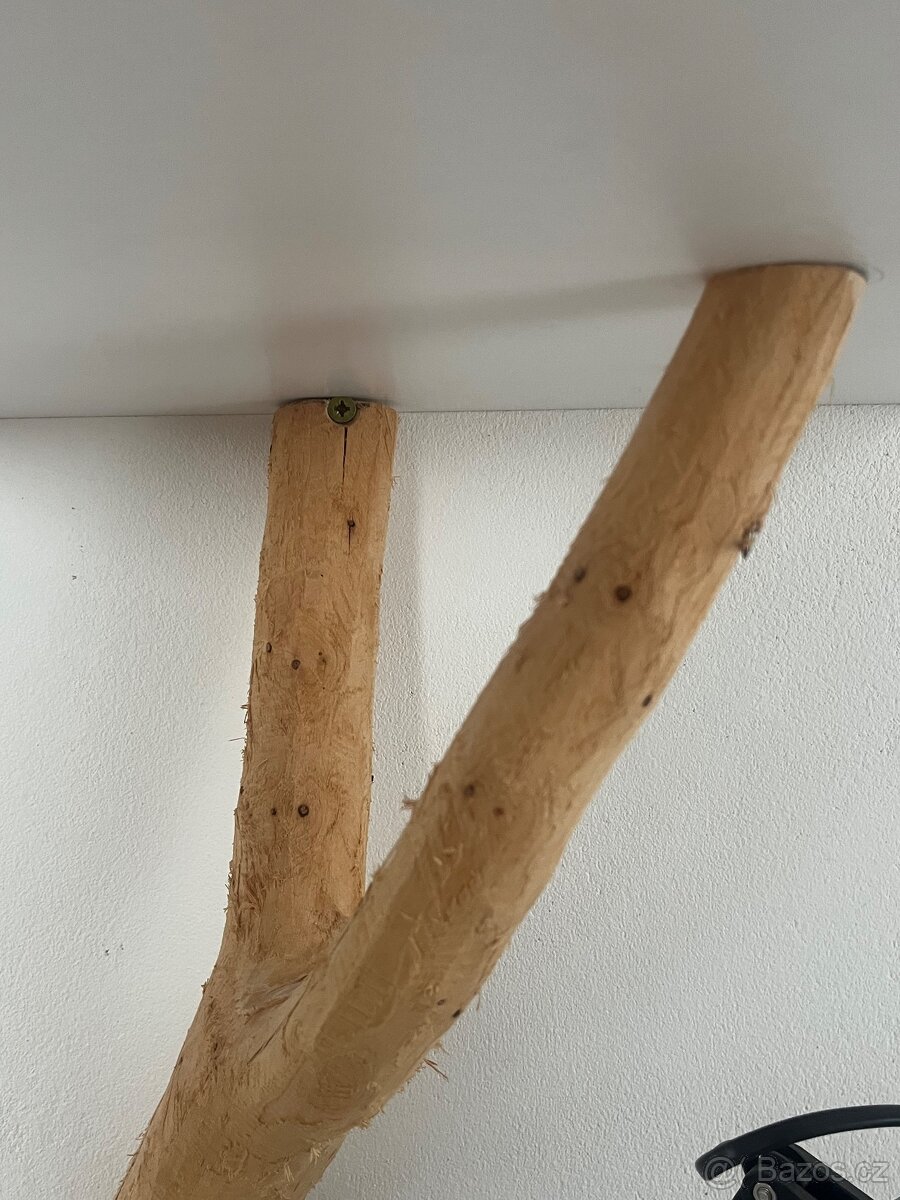 Kočičí strom z masívu - 5