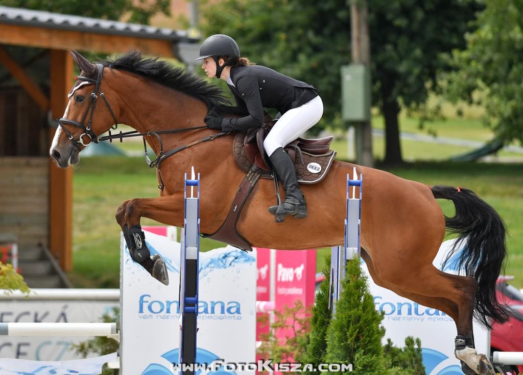 Kobylka ČT - rekreace/chov - 5