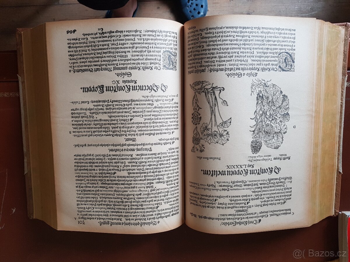 Herbář, aneb, Bylinář Matthioli / Mattioli - 5