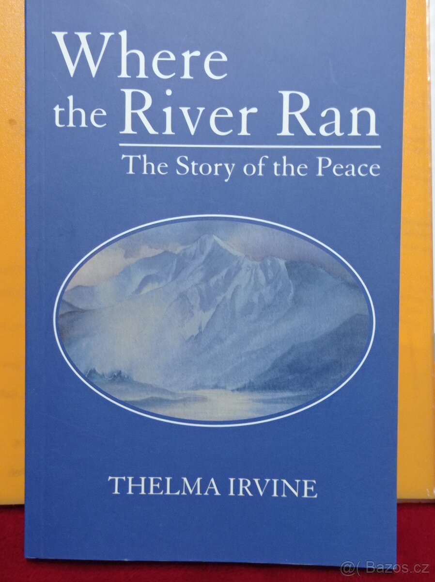 Anglické knihy, Angličtina pro samouky - 5