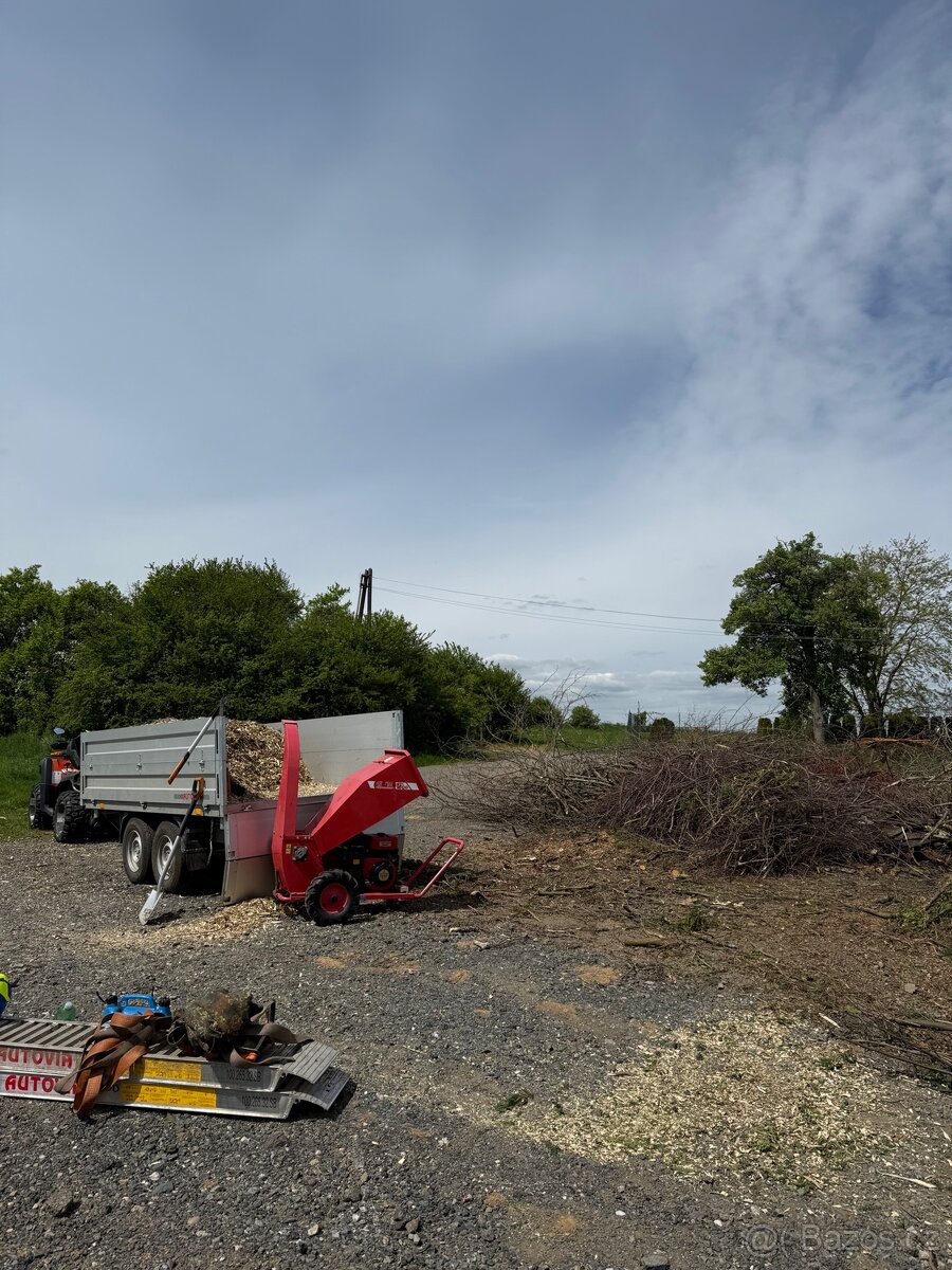 Rizikové kácení - 5