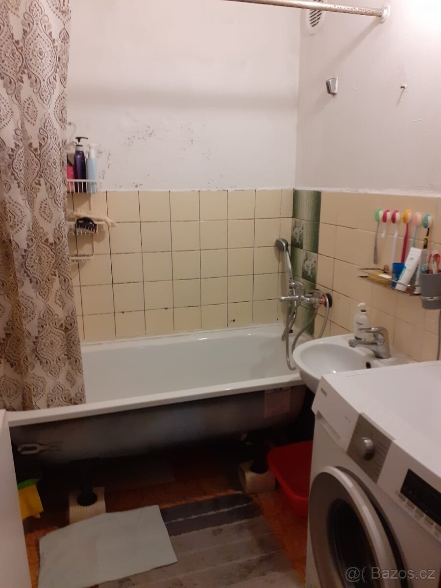 Pronájem bytu 3+1+L - 5