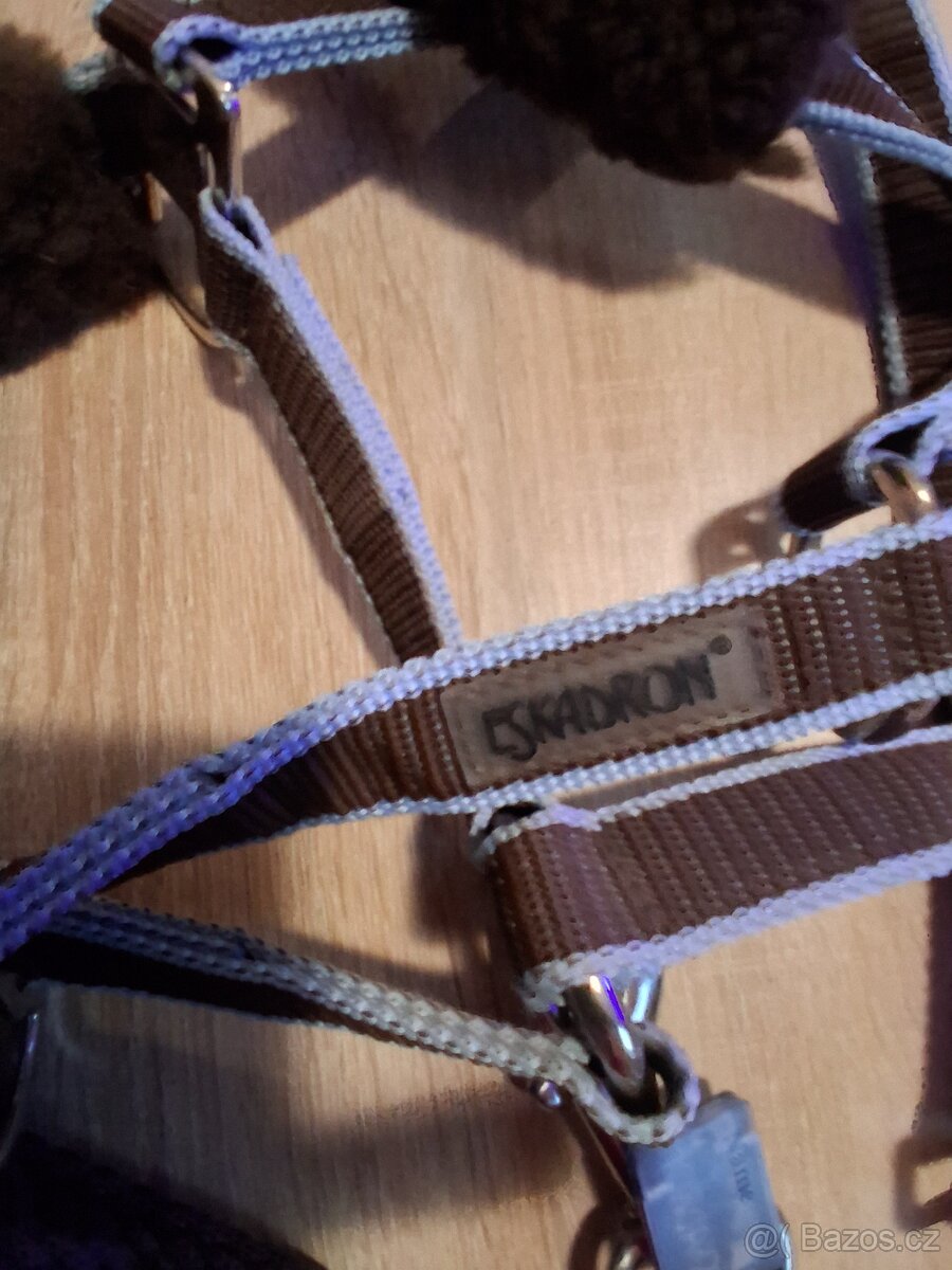 Ohlavka eskadron - 5