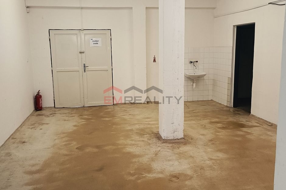 Pronájem komerčních prostor - 5