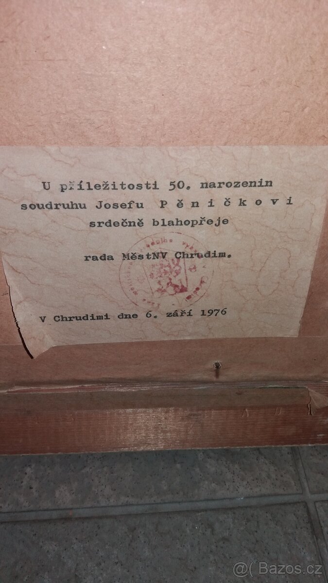 Obraz Trojan Jaromír Chrudim - 5