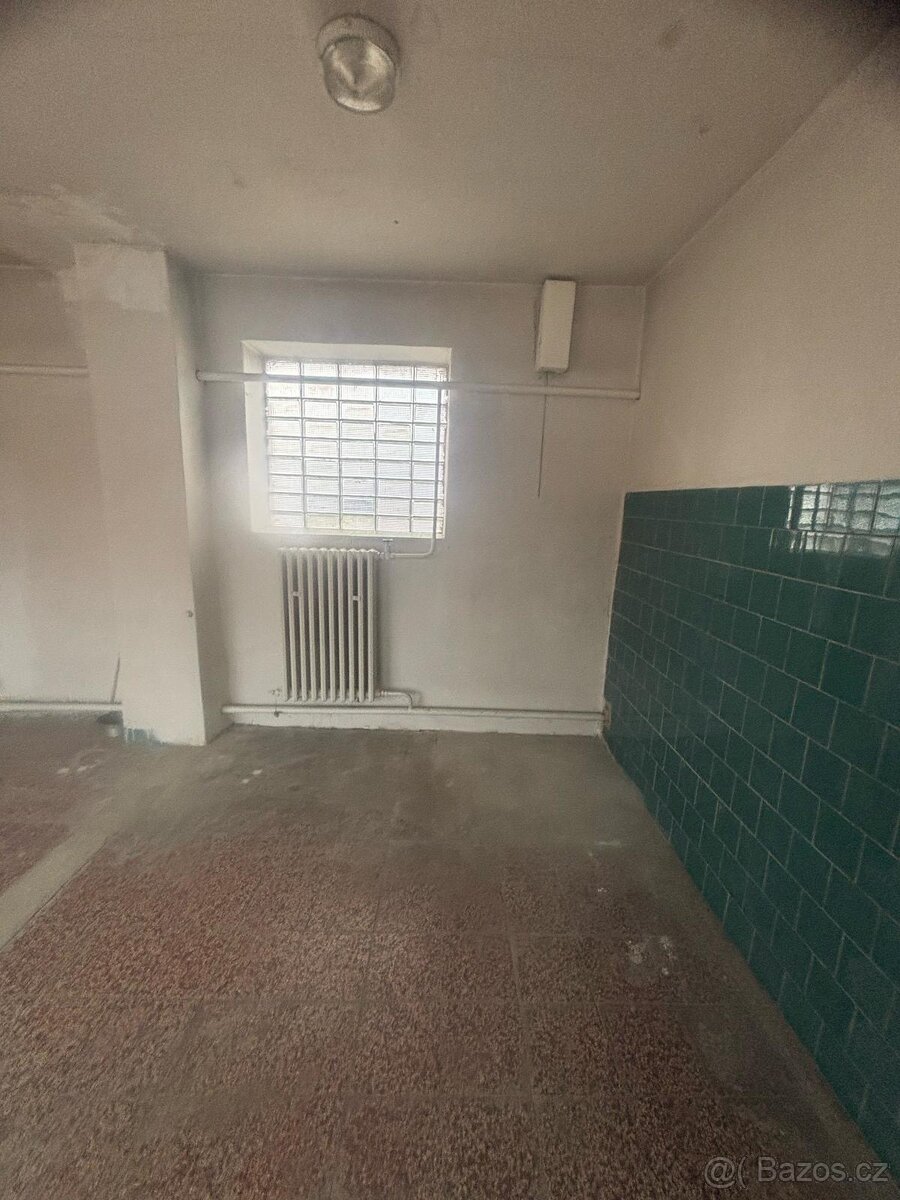 Pronájem prostoru k podnikání - 5