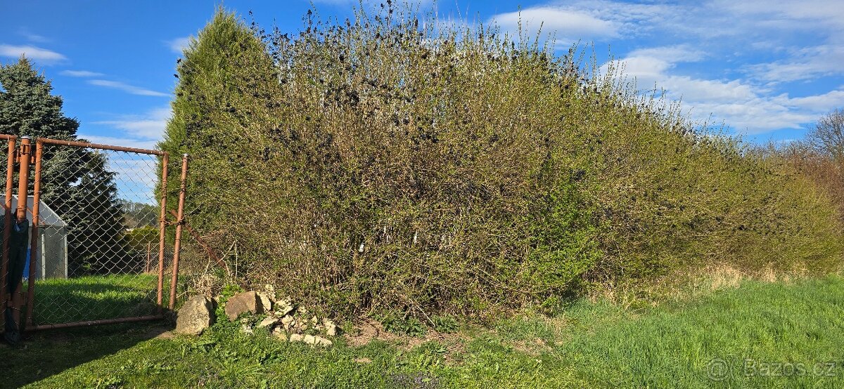 Zahrada s chatkou - 5