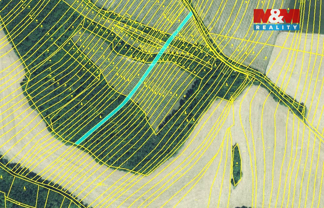 Prodej lesa a vinice, 553 m², Křepice u Hustopečí - 5