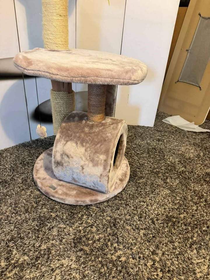 Kvalitní strom škrabadlo pro Kočky - 5